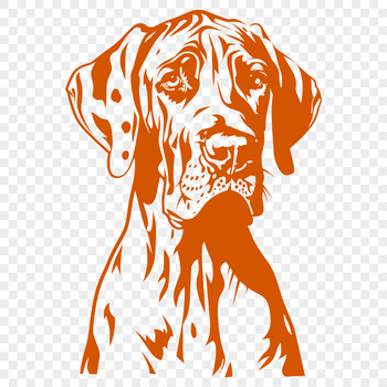 A large breed dog with a distinctive head and floppy ears, depicted in vector format.