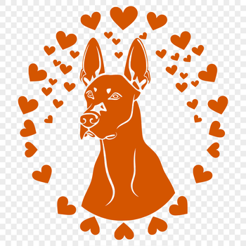 A large breed dog with a gentle expression, suitable for pet lovers.