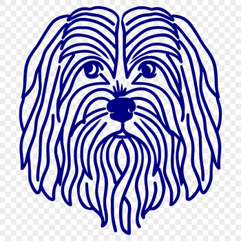 Illustration of a Havanese dog's head, suitable for vector design projects.