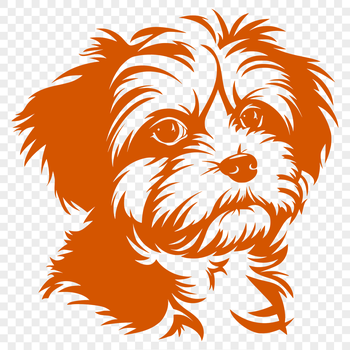 Illustration of a small Havanes dog with a distinctive head shape.