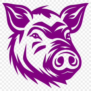 Unique Boar Vector Drawing