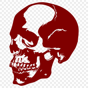 A detailed illustration of a skull, suitable for tattoo designs or clip art.