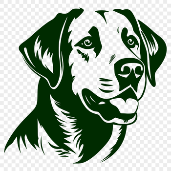 Close-up illustration of a Labrador Retriever's head, ideal for vector art designs.