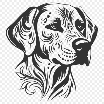 A detailed illustration of a Labrador Retriever's head, designed as a vector image for various applications.