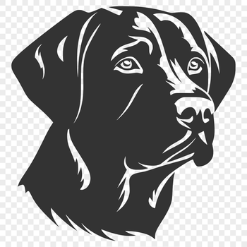 A high-quality illustration of a Labrador Retriever's head, suitable for digital design projects.