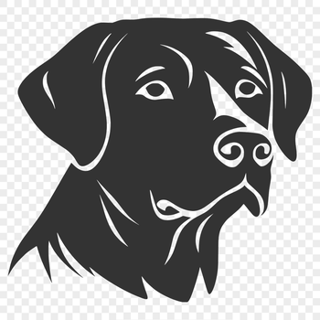 A high-quality digital illustration of a Labrador Retriever's head, suitable for various design applications.
