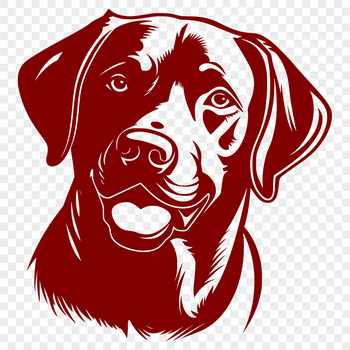 A close-up of a Labrador Retriever's head, suitable for vector art and clip art designs.