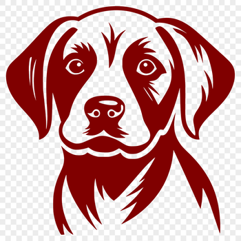 A portrait of a friendly Labrador Retriever with a wagging tail.