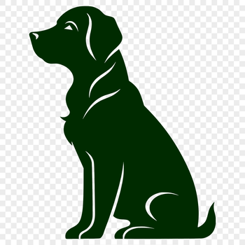 A detailed illustration of a sitting Labrador Retriever from head to paw, ideal for graphic design and digital crafts.