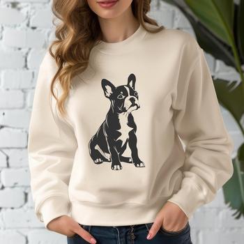 A sitting dog breed, the Boston Terrier, shown in full body.