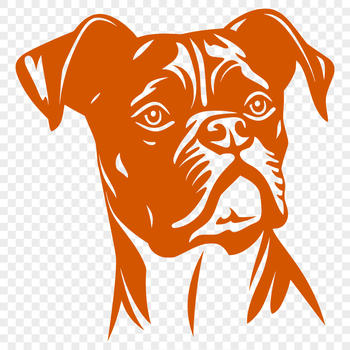An illustration of a Boxer dog's head with detailed facial features.