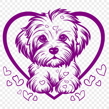 A full-body illustration of a Havanese dog in a relaxed pose.