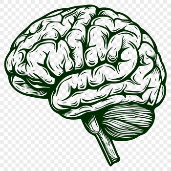 Unique Brain Drawing