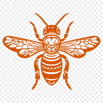 A detailed illustration of a bee's full body, suitable for vector graphics design.