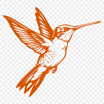 A colorful, full-body illustration of a hummingbird in flight, suitable for vector design projects.