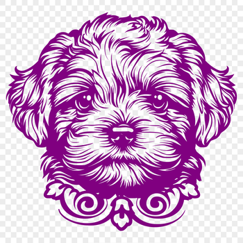 A high-quality illustration of a Havanese dog's head, suitable for use in vector design and cutting machine projects.