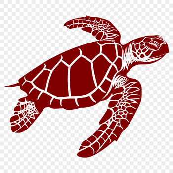 A stylized illustration of a full body sea turtle in a seaside setting.