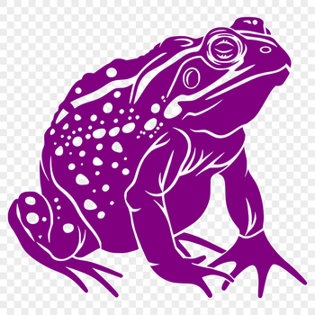 A full-body illustration of a toad in a simple, detailed style, suitable for vector design and commercial use.