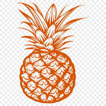 Beautiful Pineapple - Craft SVG