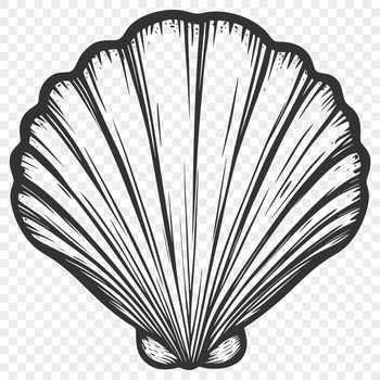 A vector illustration of a realistic seashell, suitable for graphic design and digital crafting.