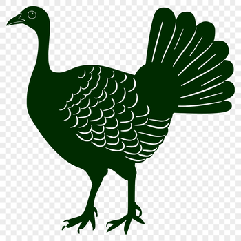 A detailed illustration of a farm animal turkey in full body view, suitable for various design applications.