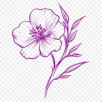 A colorful illustration of a wild flower in bloom.