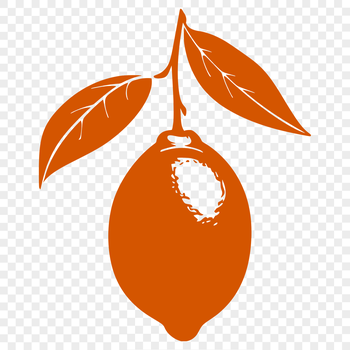 A high-quality illustration of a lemon fruit with detailed texture and shape, suitable for use in vector design projects.