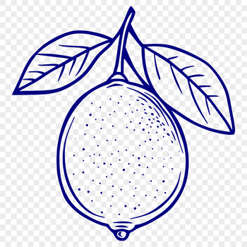 A stylized illustration of a lemon in vector format.