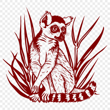 Close-up illustration of a full-body lemur in vector format.