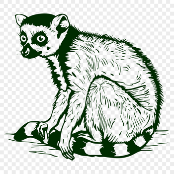 An SVG image of a primate, showcasing its detailed anatomy.