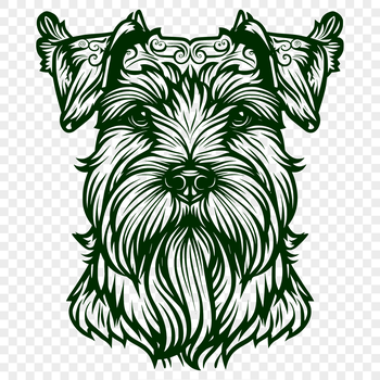 A detailed illustration of the head of a small breed dog with distinctive eyebrows.