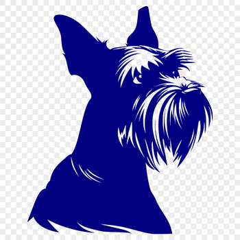 A detailed illustration of a small to medium-sized dog breed with a distinctive beard and mustache.