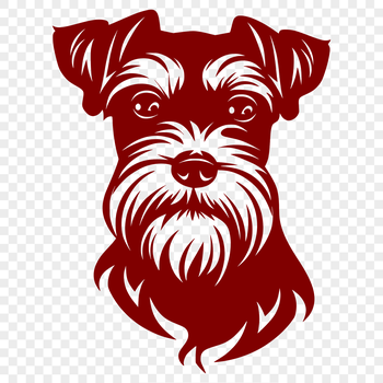 A close-up view of a Miniature Schnauzer's head, showcasing its distinctive bearded face.