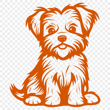 A small breed dog, Morkie, sitting in full body pose.