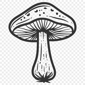 Stunning Mushroom - Laser PNG