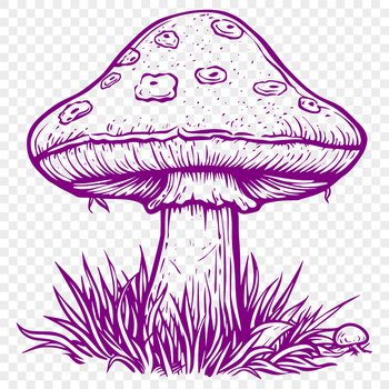 A detailed illustration of a mushroom in various formats including vector and clip art for graphic design.