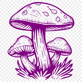 A stylized illustration of a mushroom suitable for vector design and commercial use.