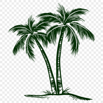 A stylized illustration of a palm tree, suitable for graphic design and digital art projects.