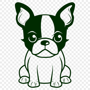 An outline vector image of a cute Boston Terrier in a sitting position.