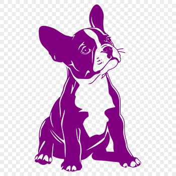 A digital illustration of a Boston Terrier dog in full-body pose, suitable for various uses.