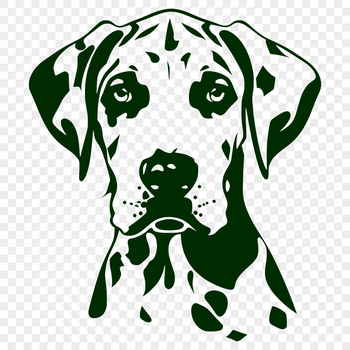 A detailed illustration of a Great Dane's head, suitable for vector design projects.