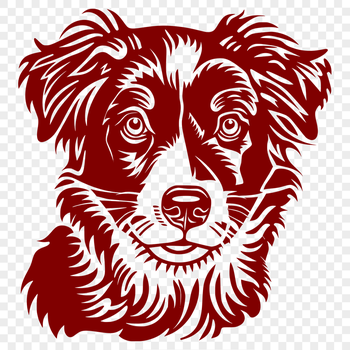 Unique Australian Shepherd Image