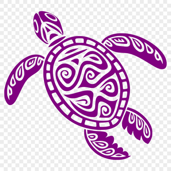 A detailed illustration of a full-body sea turtle in a realistic pose.