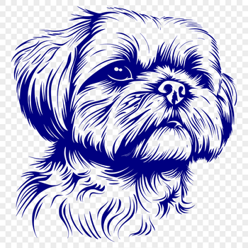A close-up image of a Shih Tzu's adorable head with floppy ears and a sweet expression.