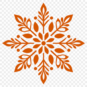 A high-quality vector illustration of a single six-pointed star-shaped snowflake with symmetrical patterns and crisp edges.
