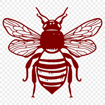 A detailed illustration of a bee in full body view, suitable for gardening and DIY projects.