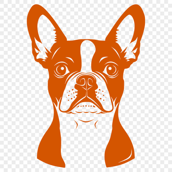 A digital illustration of a Boston Terrier's head.