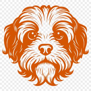 A high-quality vector illustration of a Havanese dog's head, suitable for printing or digital use.