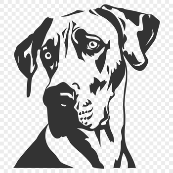 A detailed illustration of a Great Dane's head, suitable for vector art projects.