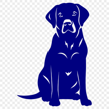 A full-body illustration of a sitting Labrador Retriever in vector format.
